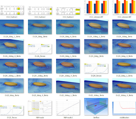 CFD étude de performance